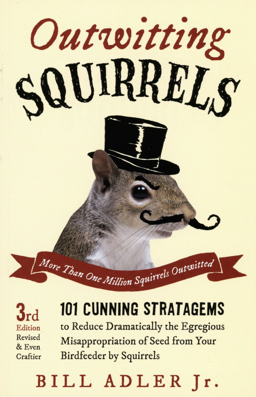 03-outwitting-squirrels.jpg