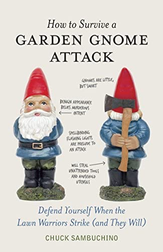 40-survive-gnome-attack.jpg