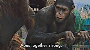 apes.jpg