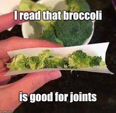 Broccoli 4.jpg