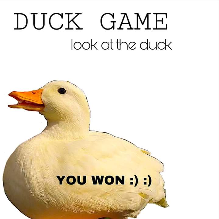 duck_game.png