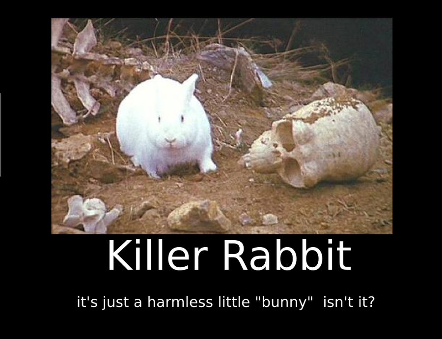 killer_rabbit_motivational_by_nicksnack.png