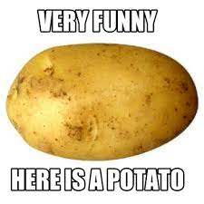 Potato 6.jpg