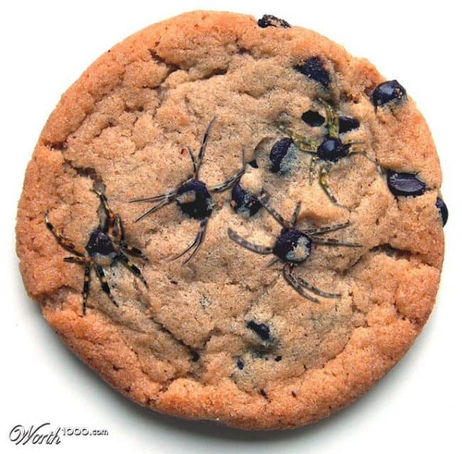 spidercookie-real-650x639.jpg