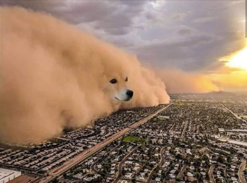 Stormcloud doge.png