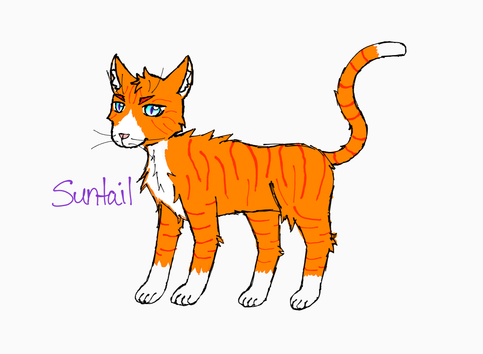 Suntail.png