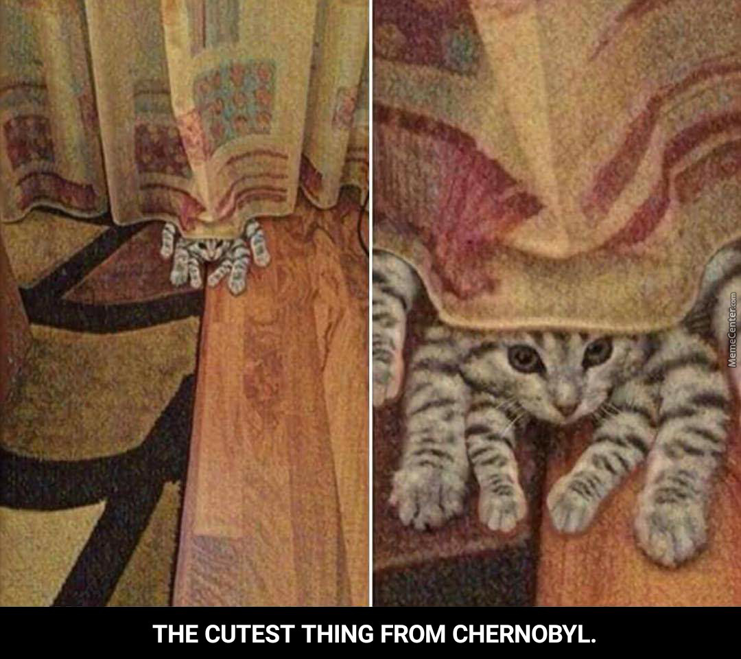 the-cutest-thing-from-chernobyl_o_7266053.jpg