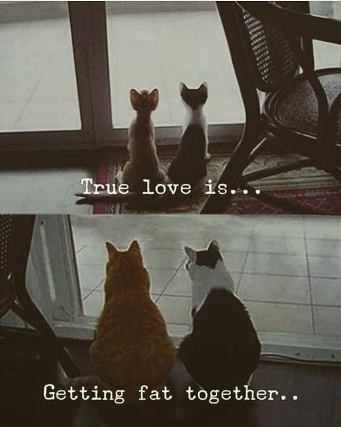 true-love-is.jpg