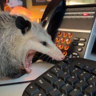 ClosetPossum